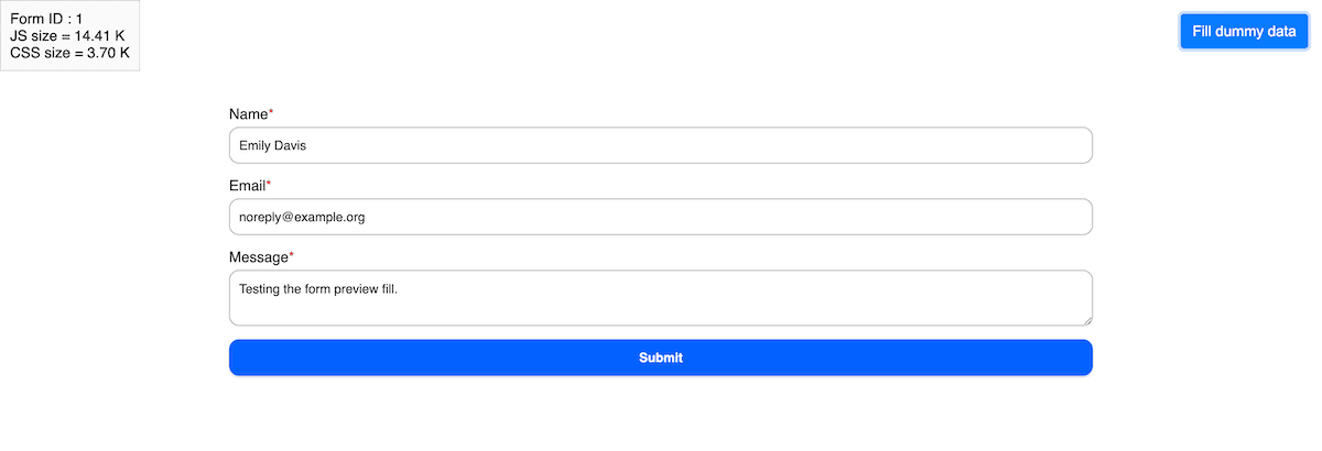 Previewing a form within Bit Form.