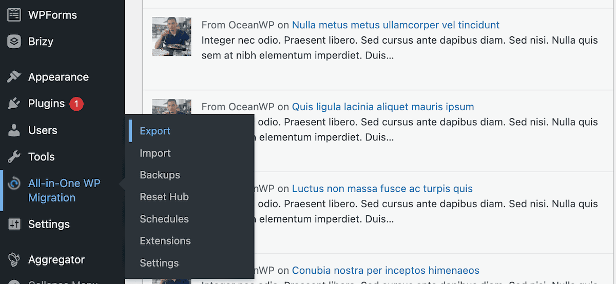 The All-in-One WP Migration export link.