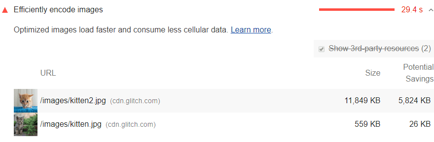 The "Efficiently encode images" issue as shown in PageSpeed Insights from Google.
