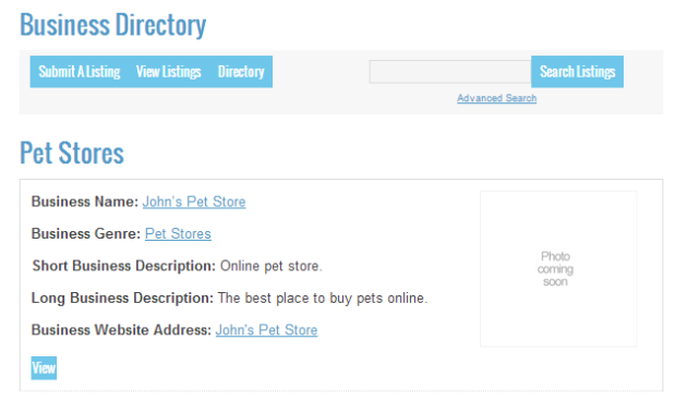 Business Directory Submit 04