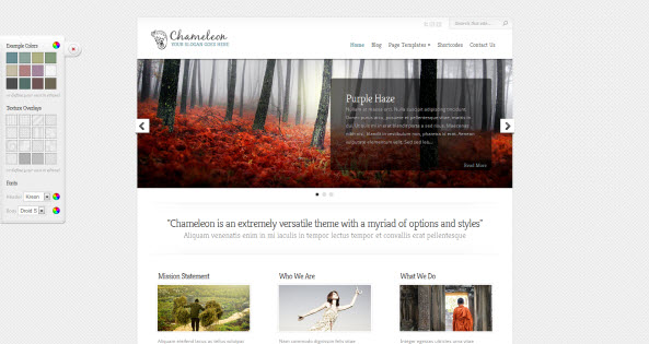 Chameleon travel themes for WordPress