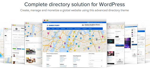 Directory Theme For WordPress Build One City or Multi city Directories