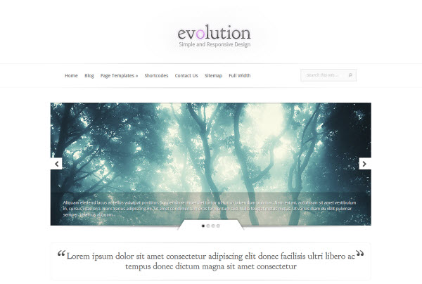 Evolution Minimal WordPress Theme