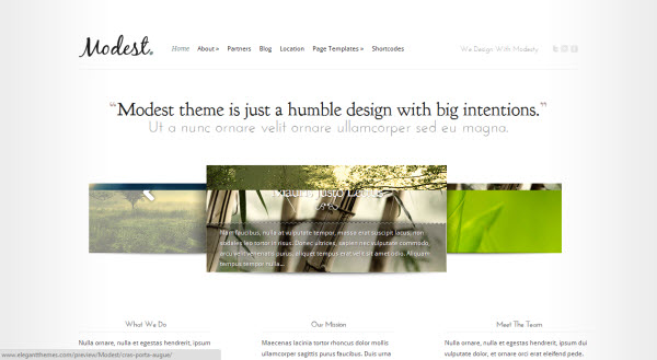 Modest Minimal WordPress Theme