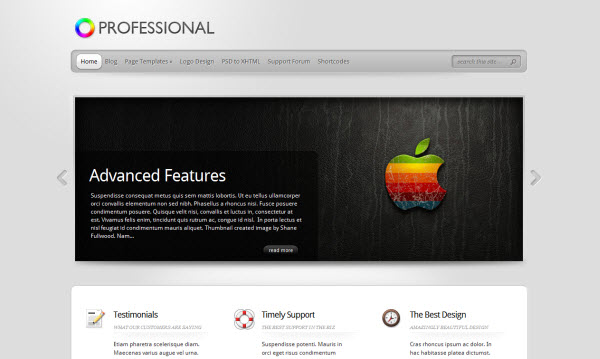 The Professional Minimal WordPress Theme