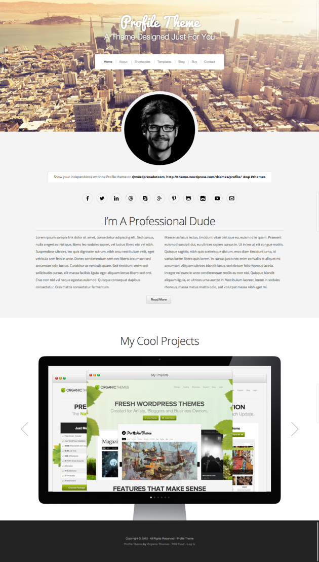 Profile Theme