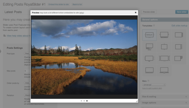 Slider preview in admin