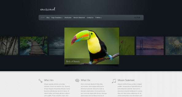 Envisioned travel themes for WordPress