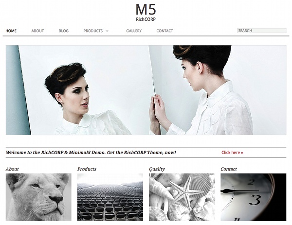 WordPress theme development
