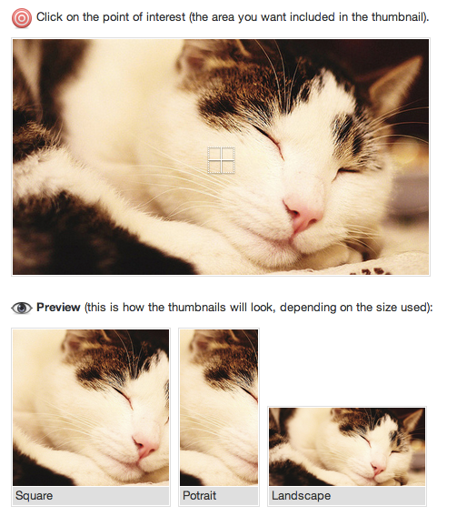 theia smart thumbnails