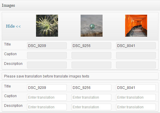 translating-image-titles
