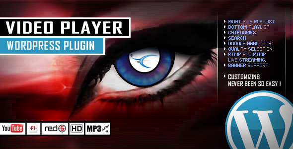 video player wordpress