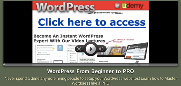 wordpress from beginner to pro